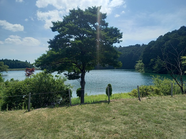 池