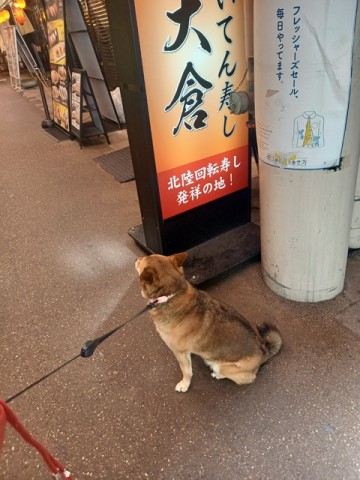 ひじき