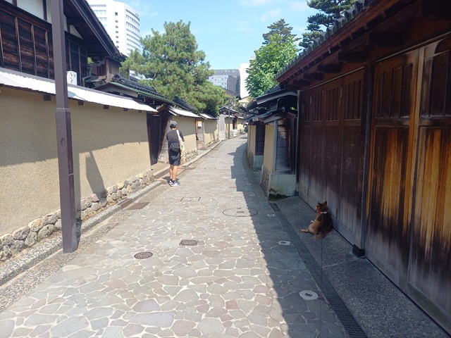 ひじき
