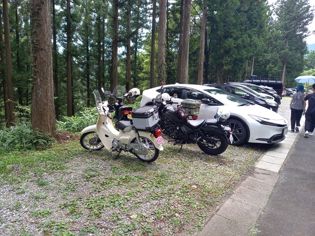 駐車