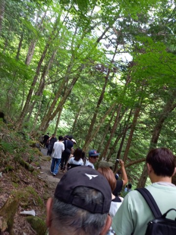 渋滞1