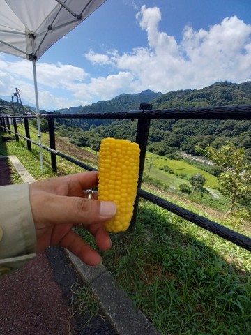 もろこし