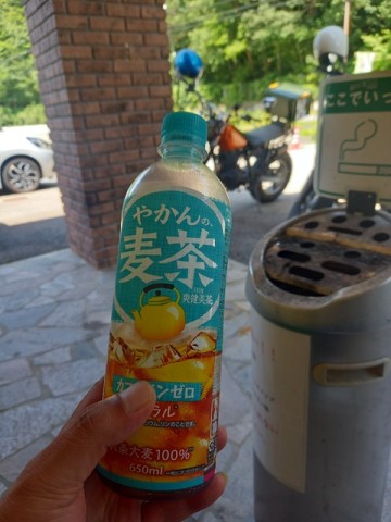麦茶