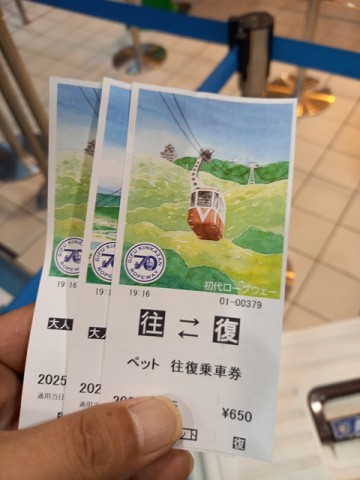 乗車券