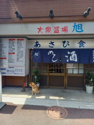 店
