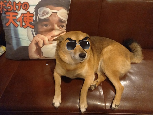ひじき