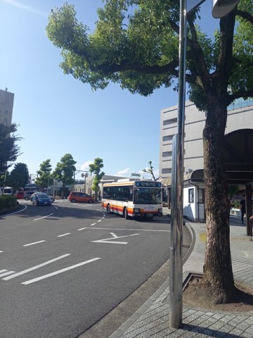 バス