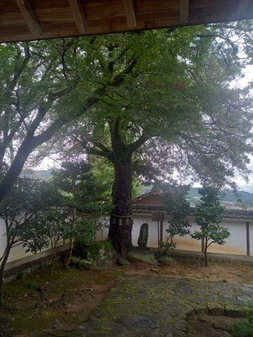 石碑1