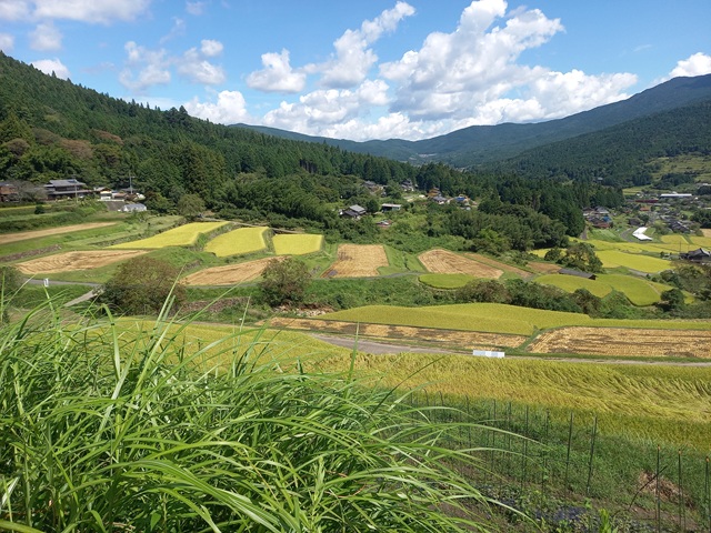 棚田2