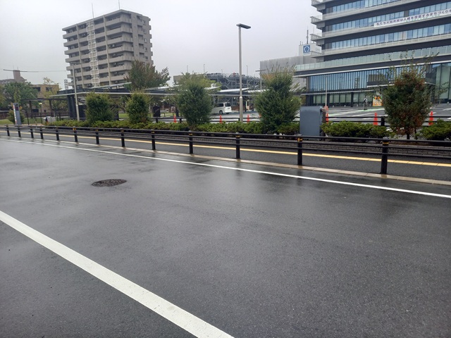 雨