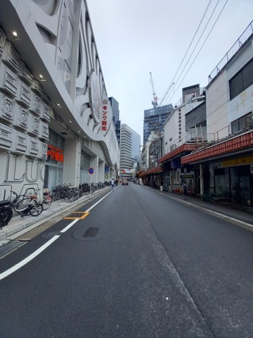 柳橋