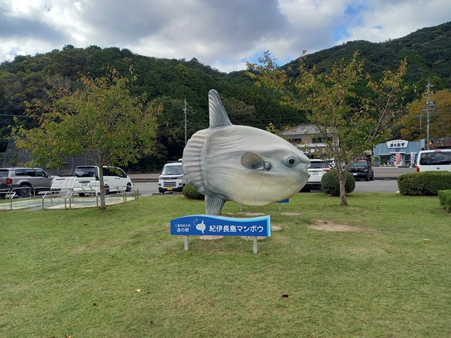 マンボウ
