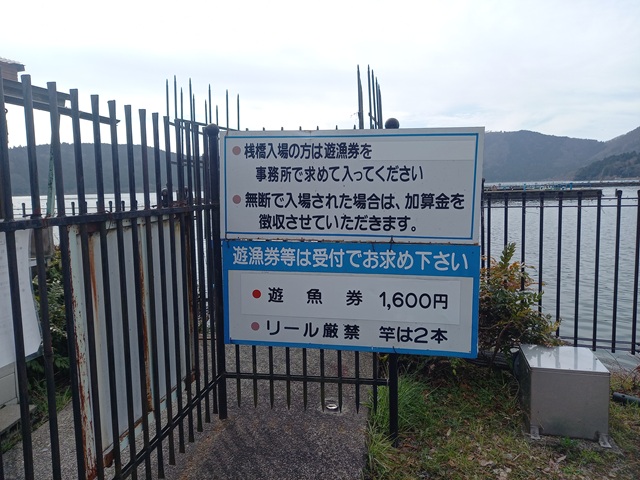 桟橋