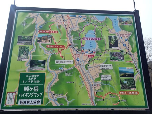 案内
