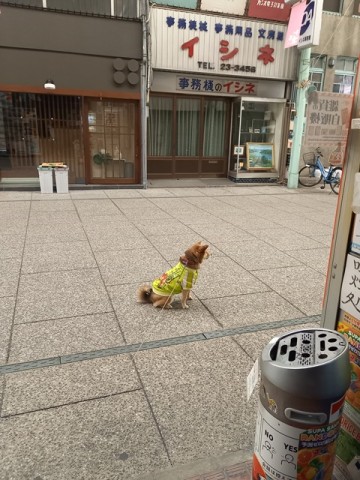 ひじき