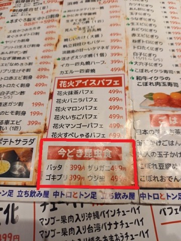 昆虫食