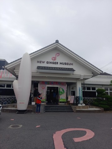 ミュージアム