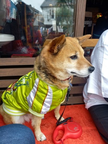ひじき