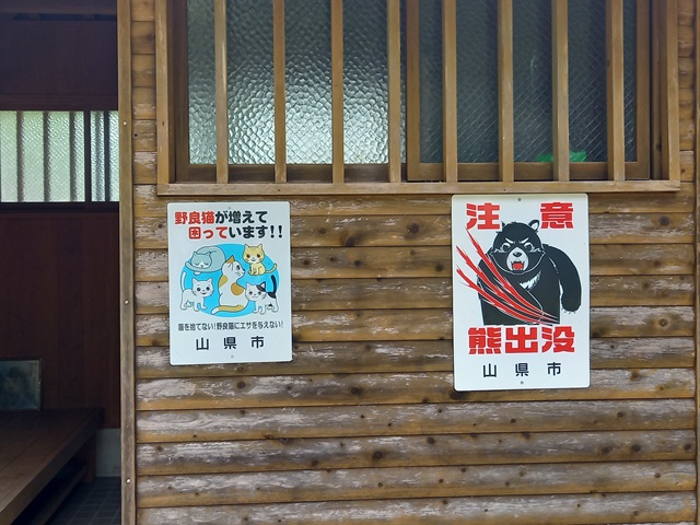 熊