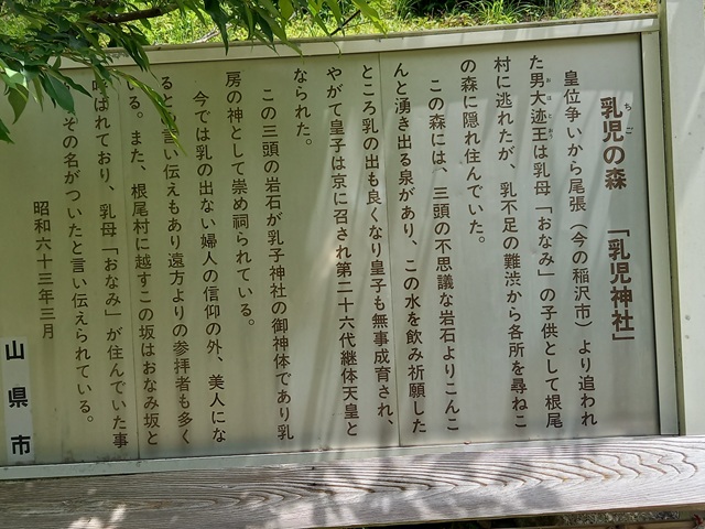説明