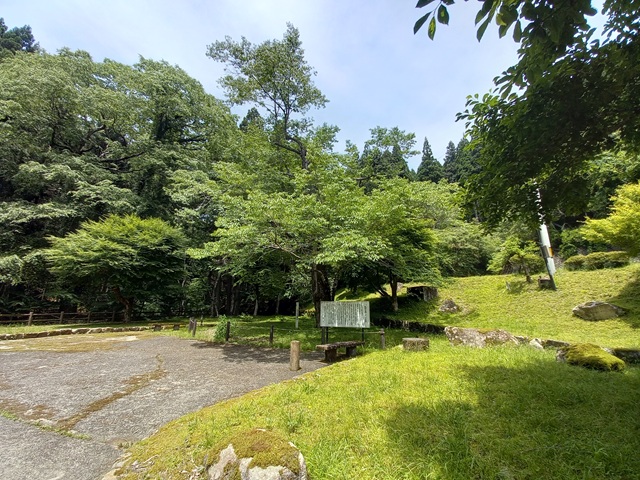 櫻
