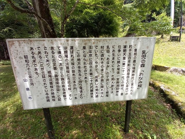説明