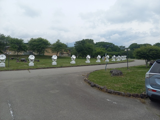 駐車