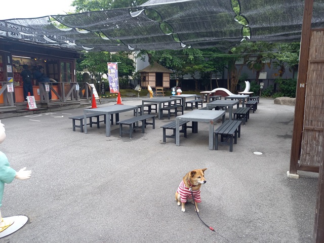 ひじき