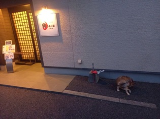 ひじき