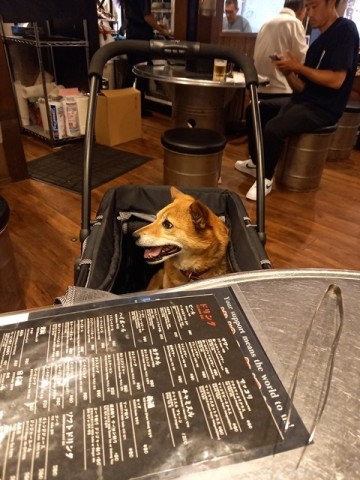 ひじき