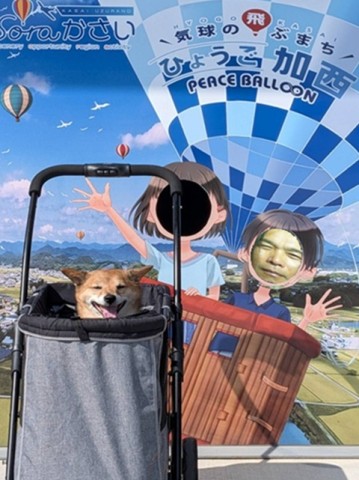 顔出し