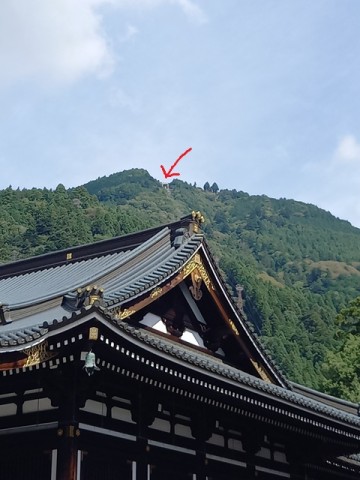 頂上