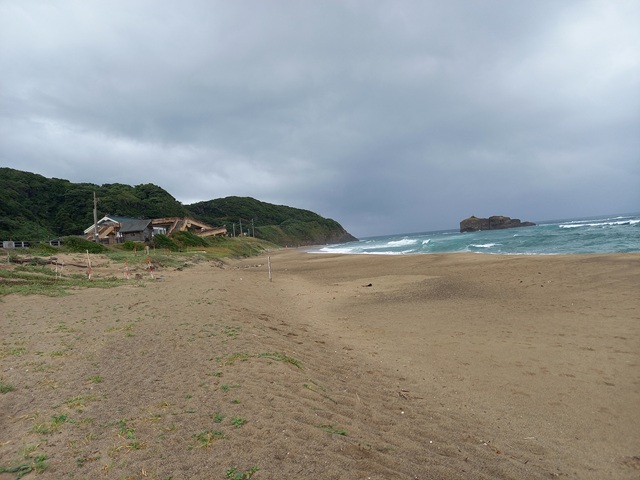 海岸