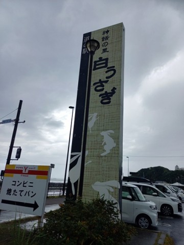 白うさぎ