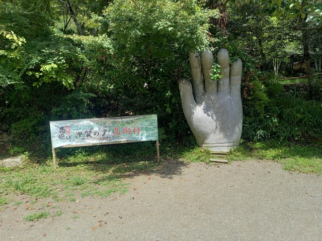手