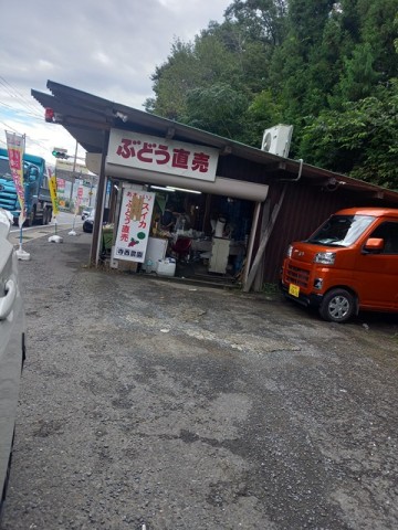 ぶどう1