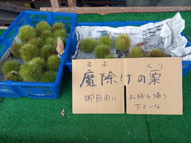 栗