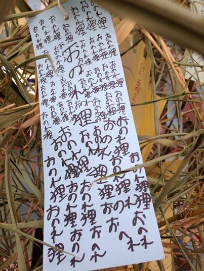 狸と何があった？