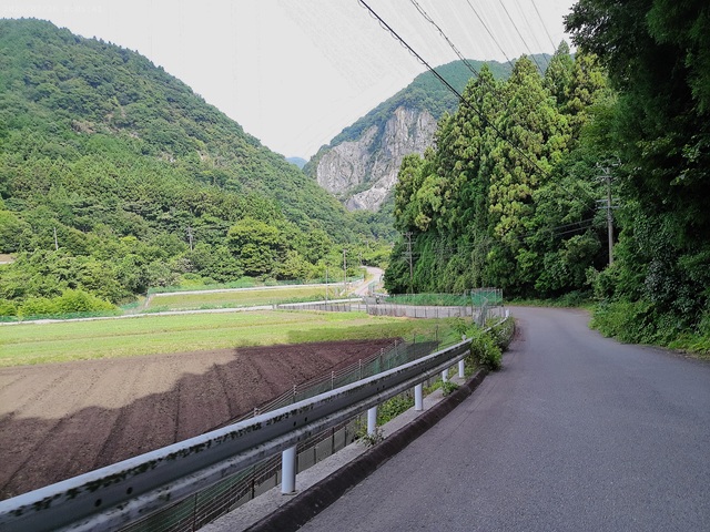 道1