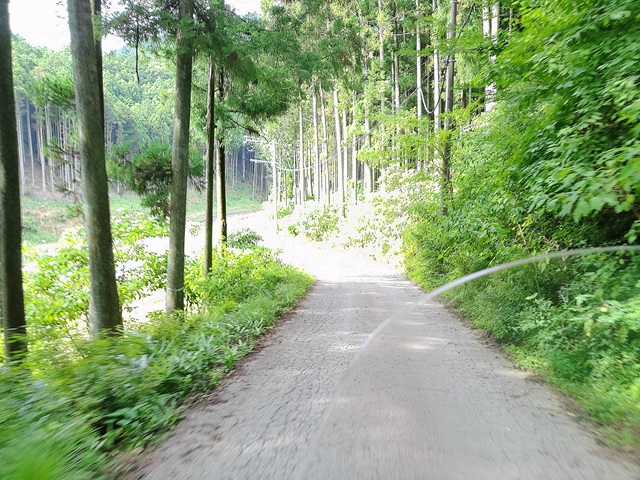 道2