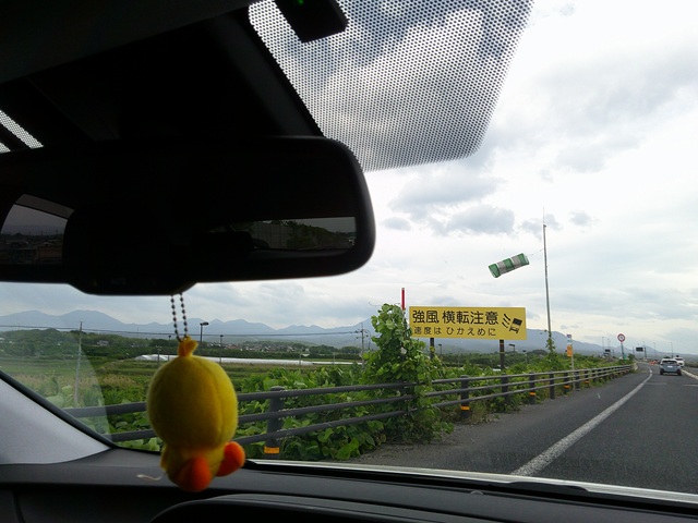 風