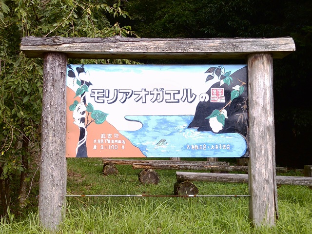 看板