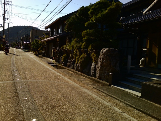 柏原