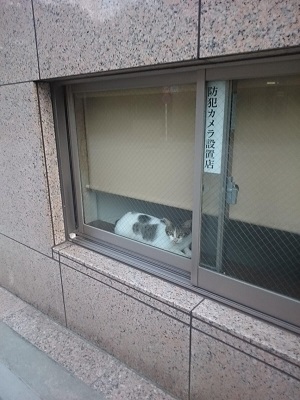 防犯カメラ設置店