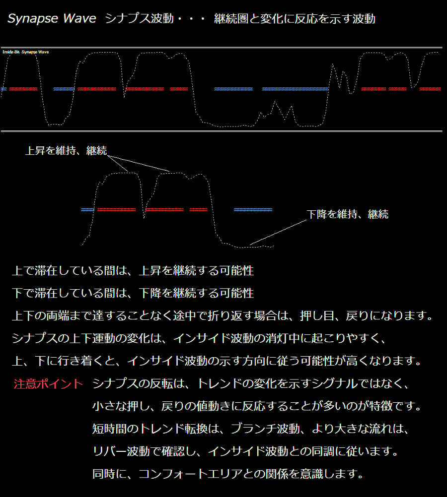 シナプス波動の説明