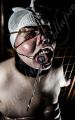 DSC_6871.jpg