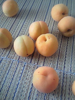 季節のくだもの