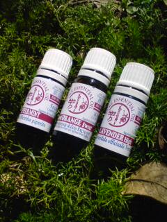 Orengeleaf�A���}�V���b�v