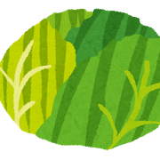 kyabetsu_cabbage.png