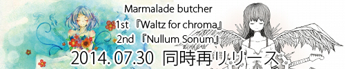 wn_500x100.jpg